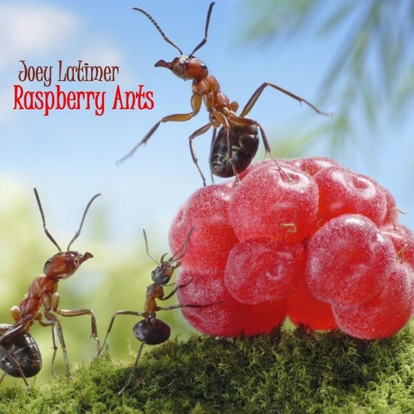 Cover art for Raspberry Ants